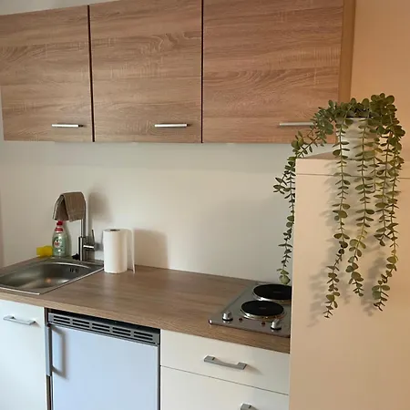 Gemuetliches 4 - Mit Kueche Und Bad Zur Eigennutzung -schuster Homes- Apartament *