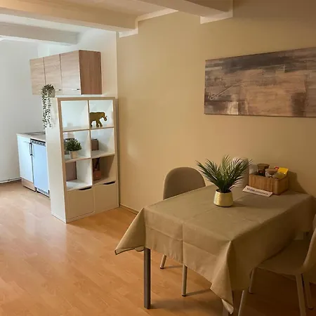 Gemuetliches 4 - Mit Kueche Und Bad Zur Eigennutzung -schuster Homes- Apartament *
