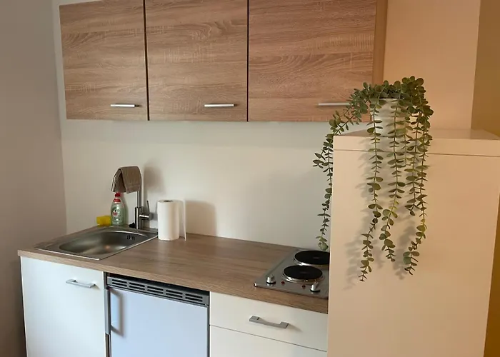 Gemuetliches 4 - Mit Kueche Und Bad Zur Eigennutzung -schuster Homes- Apartament *